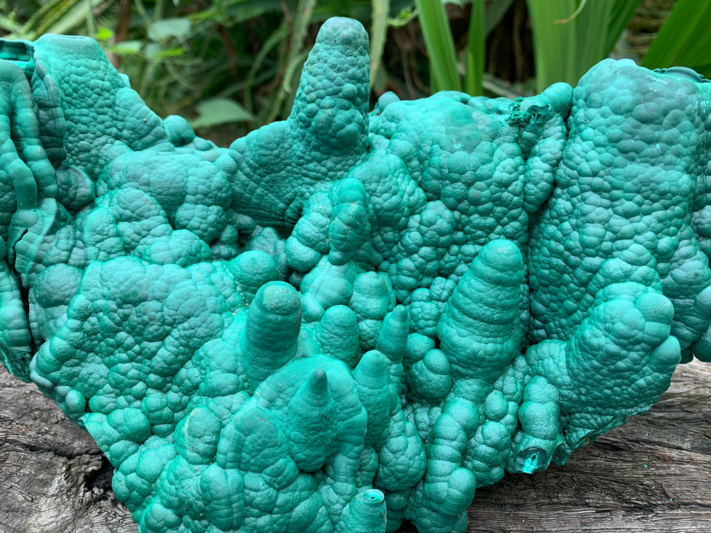 Natural Botryoidal Malachite Stalactite Specimen x 1 From Congo