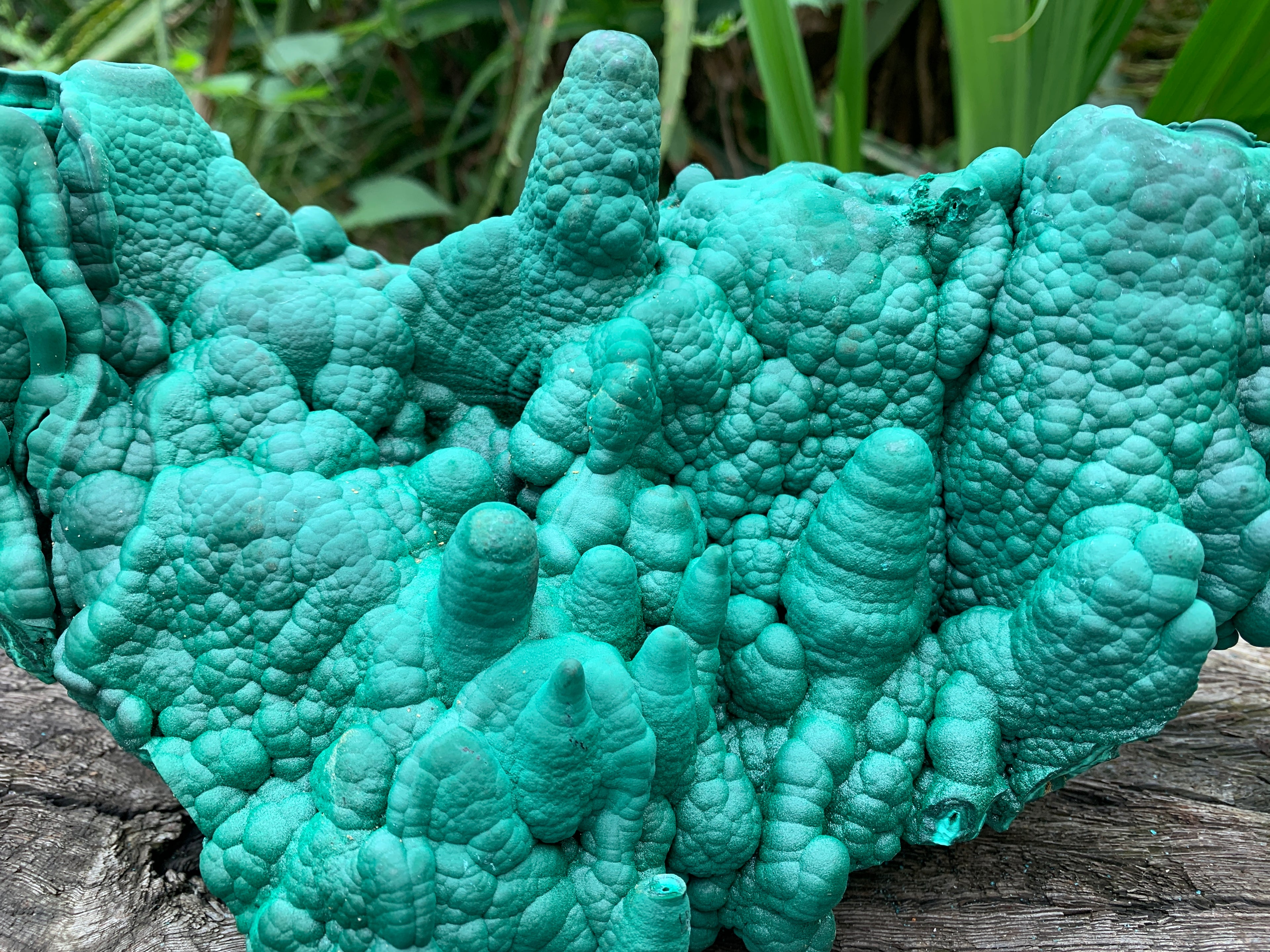Natural Botryoidal Malachite Stalactite Specimen x 1 From Congo