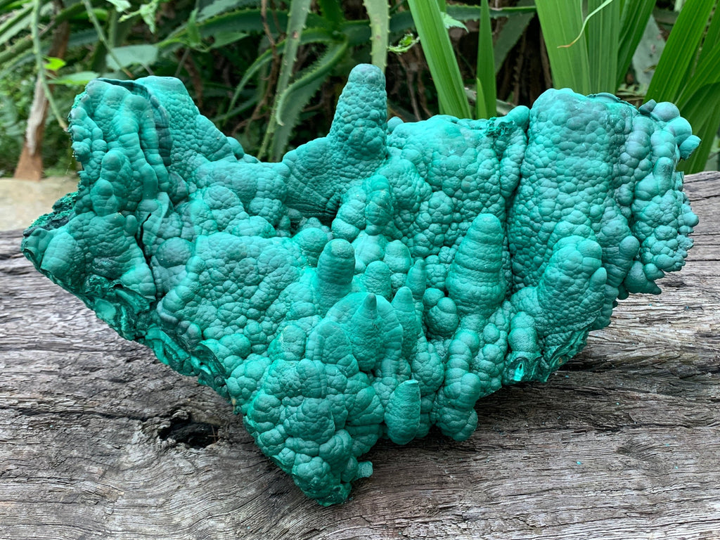 Natural Botryoidal Malachite Stalactite Specimen x 1 From Congo
