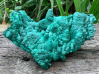 Natural Botryoidal Malachite Stalactite Specimen x 1 From Congo