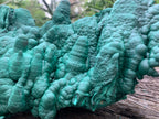 Natural Botryoidal Malachite Stalactite Specimen x 1 From Congo
