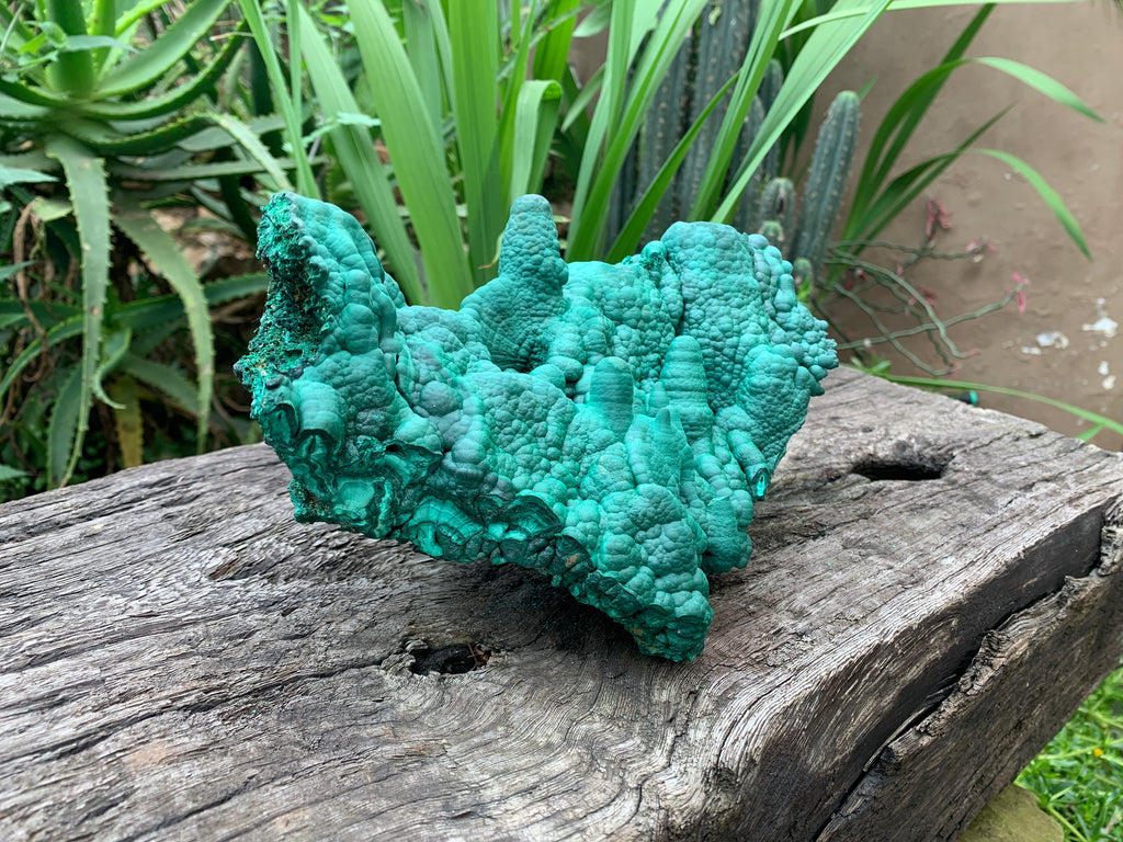 Natural Botryoidal Malachite Stalactite Specimen x 1 From Congo