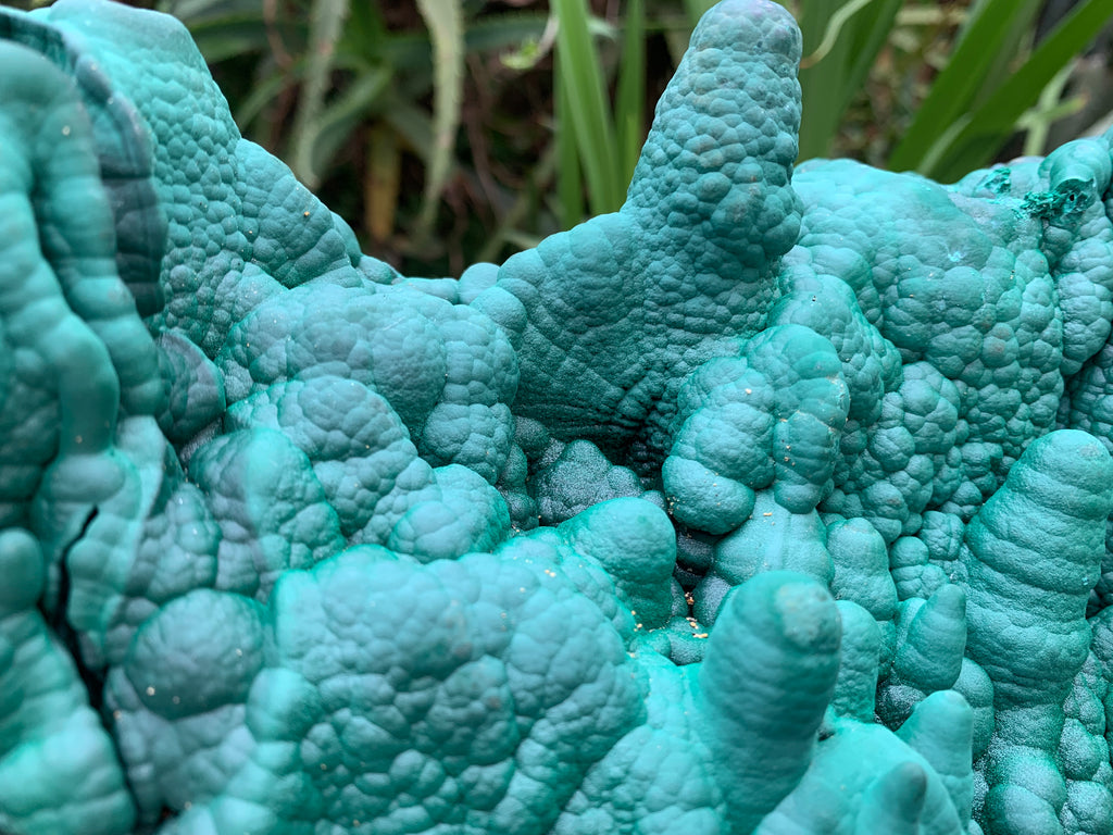 Natural Botryoidal Malachite Stalactite Specimen x 1 From Congo