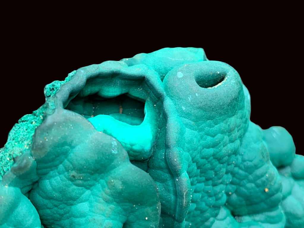 Natural Botryoidal Malachite Stalactite Specimen x 1 From Congo