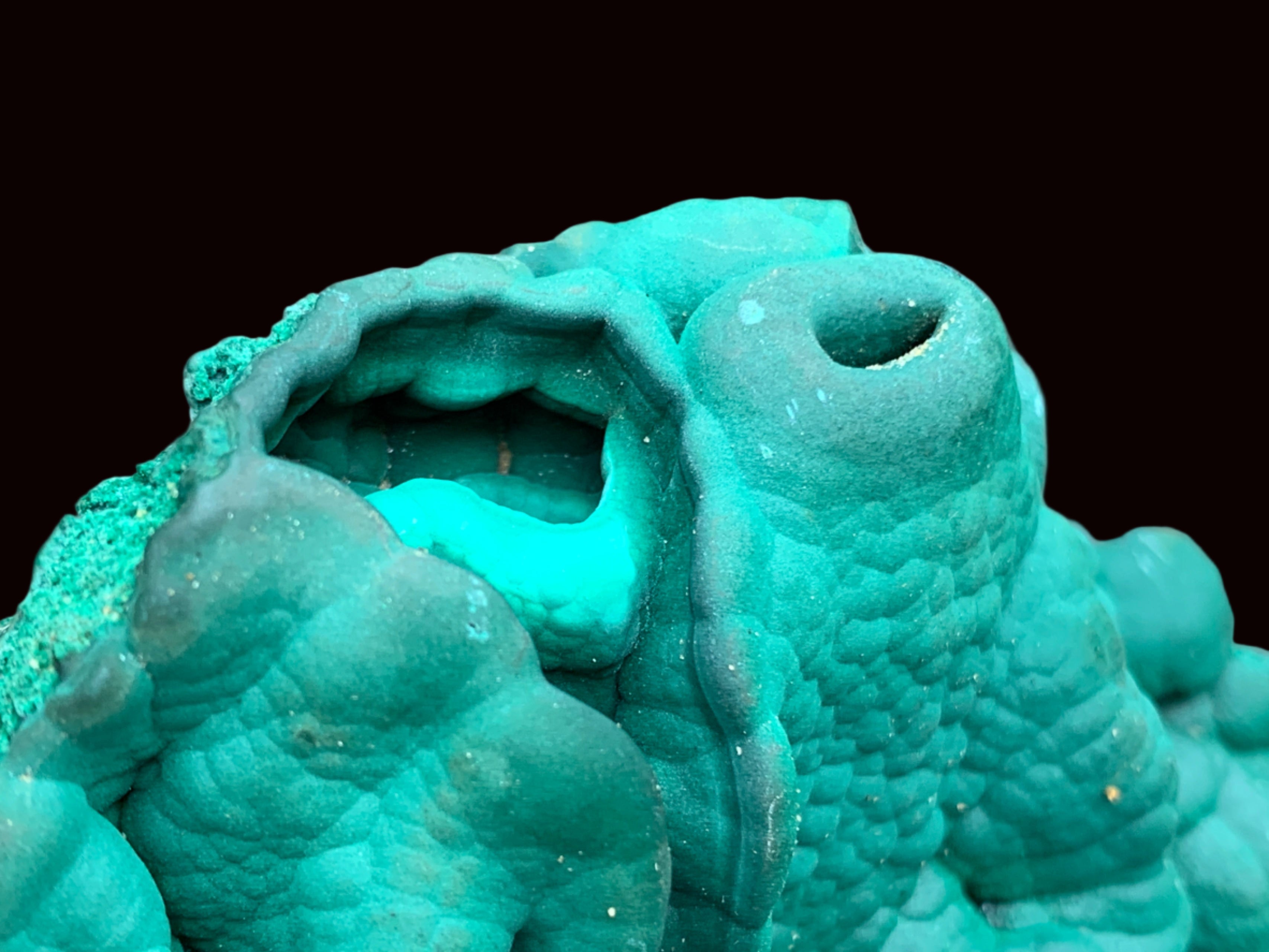 Natural Botryoidal Malachite Stalactite Specimen x 1 From Congo