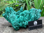 Natural Botryoidal Malachite Stalactite Specimen x 1 From Congo