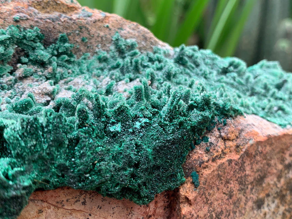 Natural Druzy Coated Stalagmites on Dolomite x 1 From Lupoto Mine, Congo