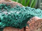 Natural Druzy Coated Stalagmites on Dolomite x 1 From Lupoto Mine, Congo