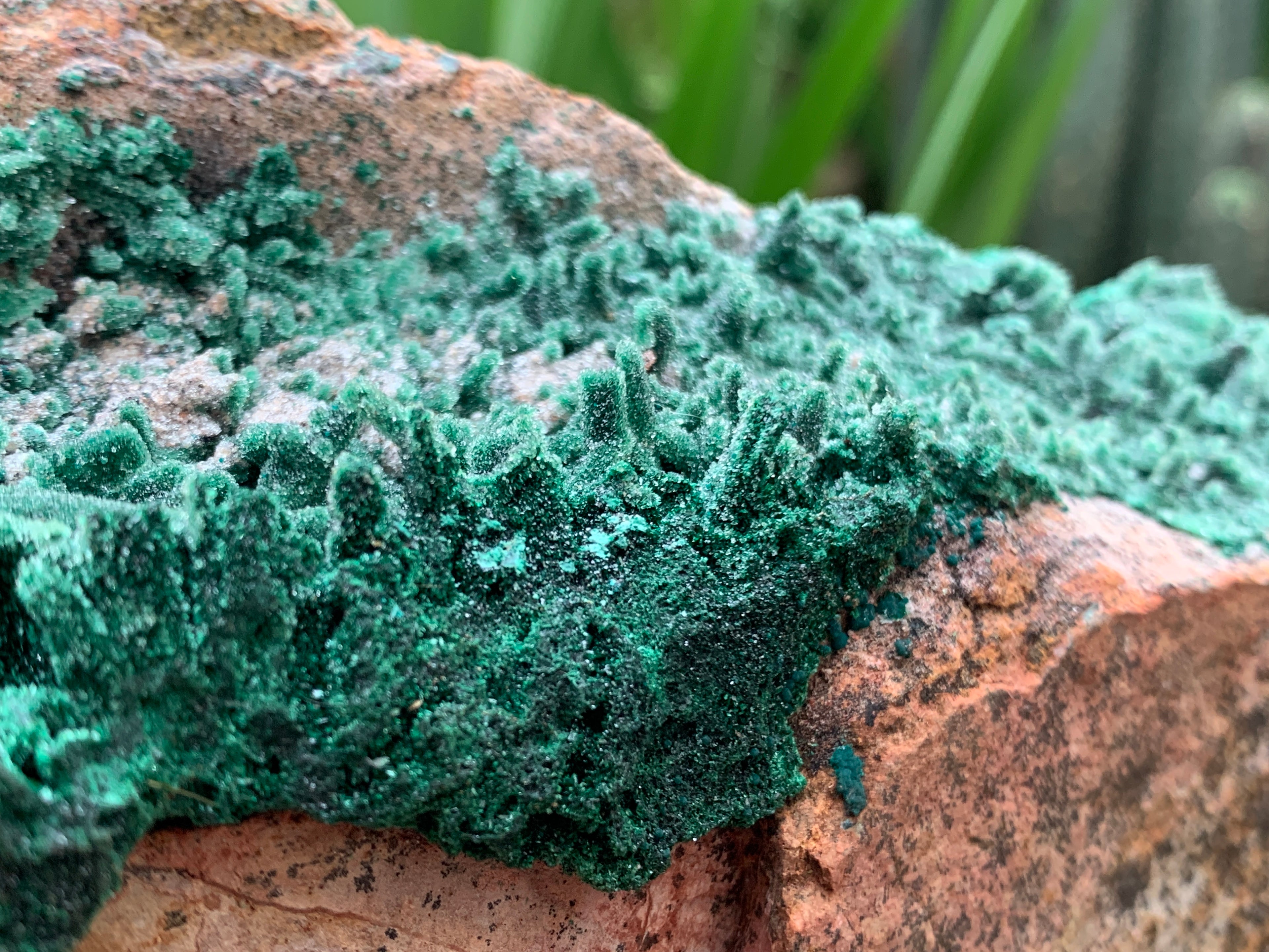 Natural Druzy Coated Stalagmites on Dolomite x 1 From Lupoto Mine, Congo