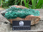 Natural Druzy Coated Stalagmites on Dolomite x 1 From Lupoto Mine, Congo