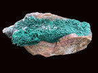 Natural Druzy Coated Stalagmites on Dolomite x 1 From Lupoto Mine, Congo