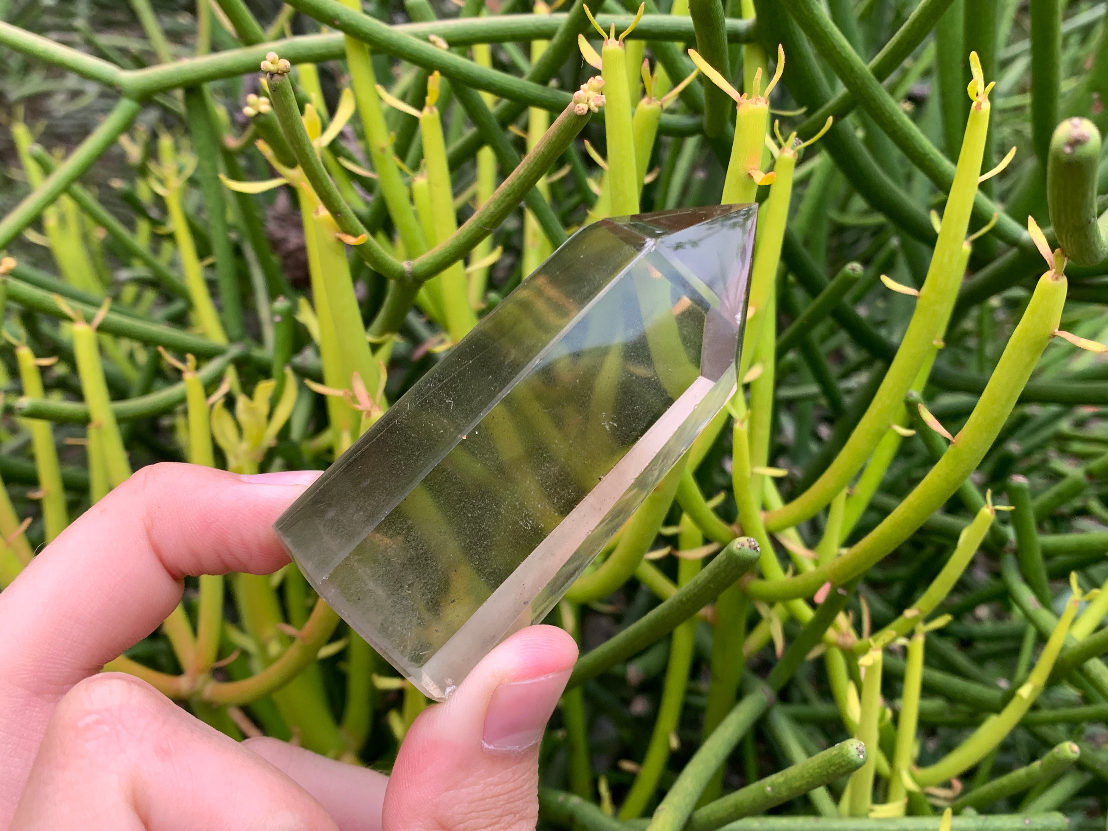 Polished Multi-Phantom Smokey Quartz Crystal x 1 From Madagascar