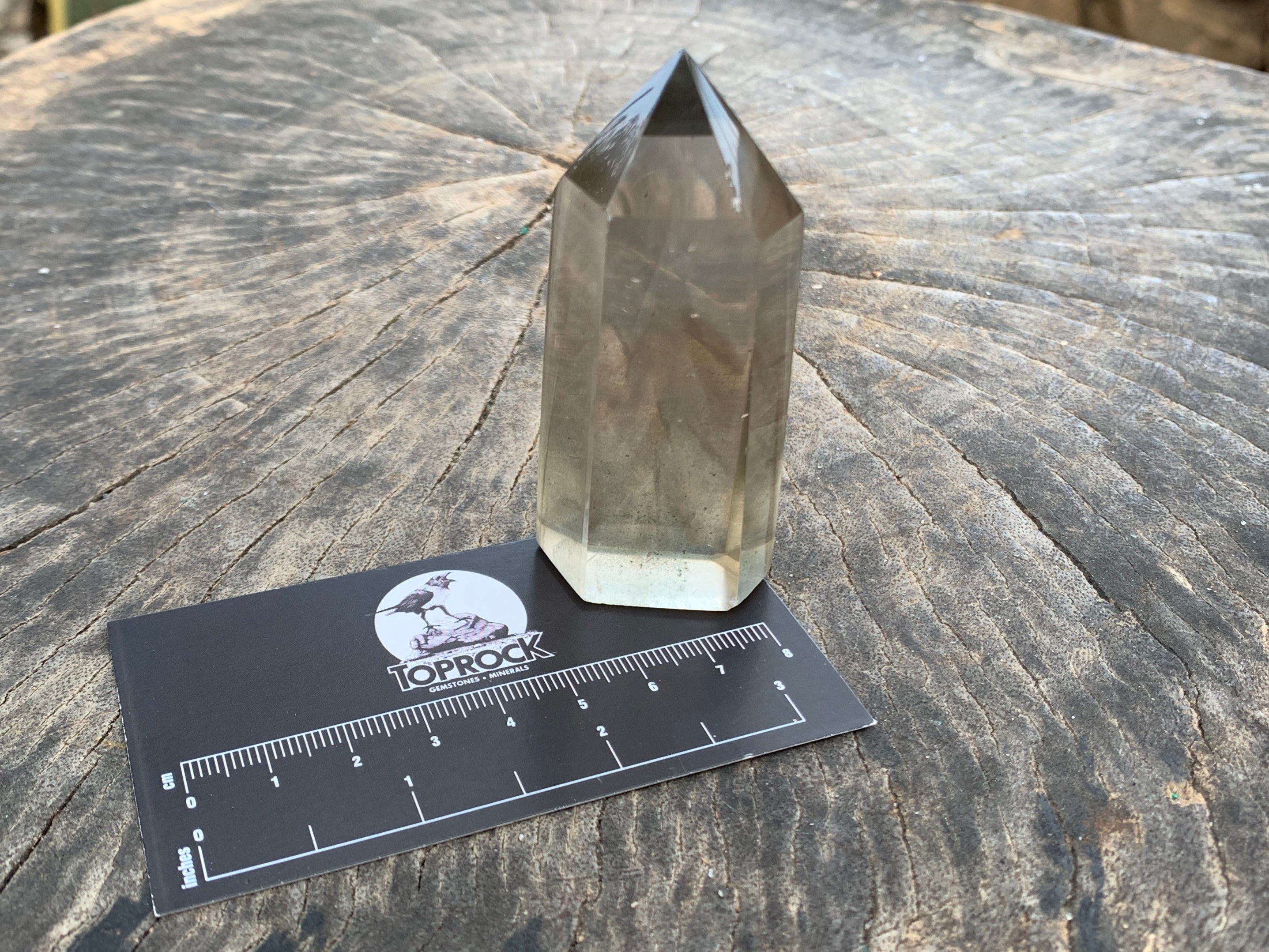 Polished Multi-Phantom Smokey Quartz Crystal x 1 From Madagascar