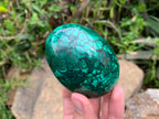 Polished Rare Extra Large Flower Banded Malachite Egg x 1 From Congo