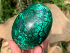 Polished Rare Extra Large Flower Banded Malachite Egg x 1 From Congo