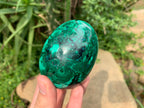 Polished Rare Extra Large Flower Banded Malachite Egg x 1 From Congo