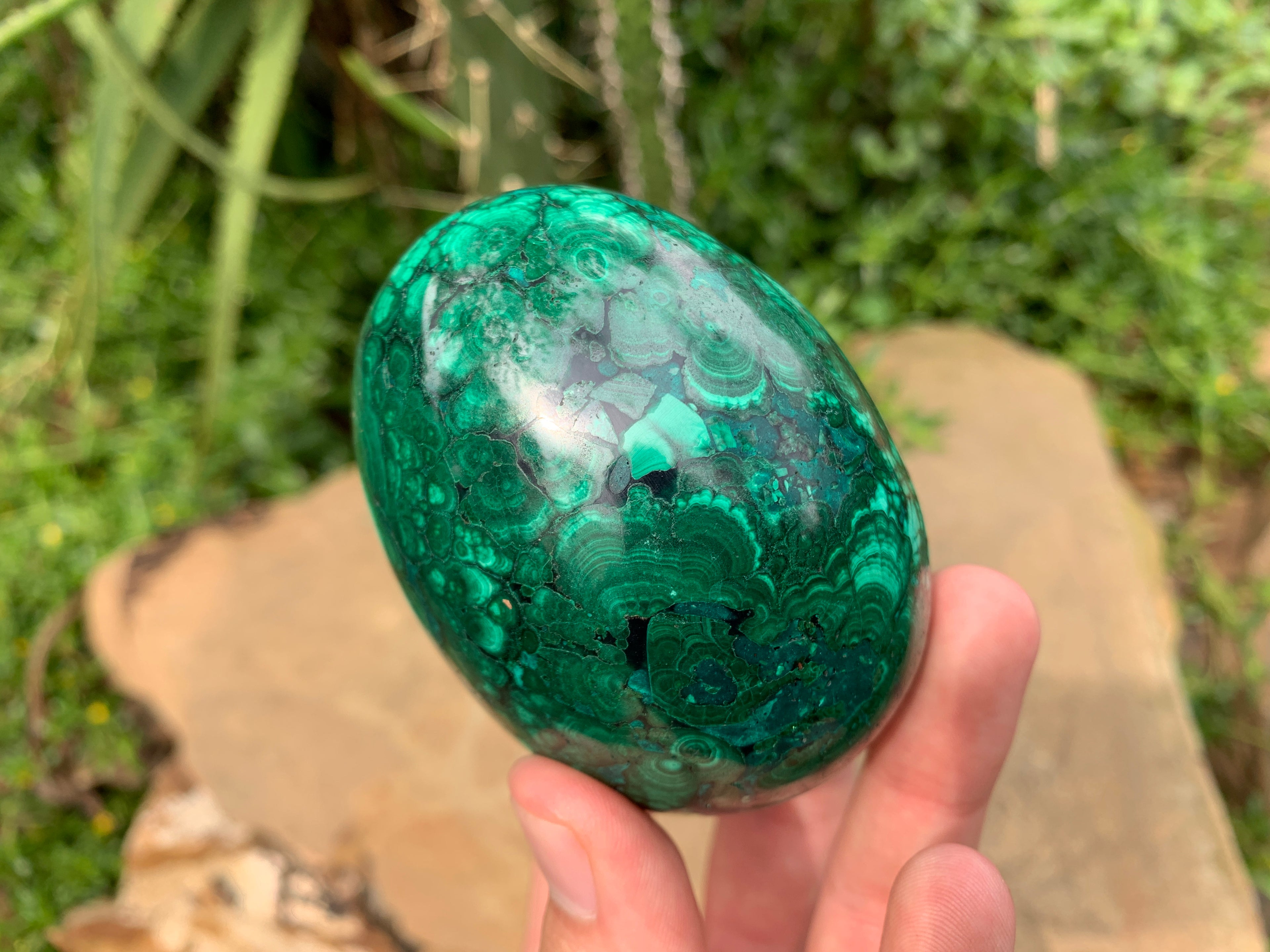 Polished Rare Extra Large Flower Banded Malachite Egg x 1 From Congo