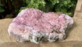 Natural Rare Rhodocalcite on Dolomite Specimen x 1 From Mashamba West Mine, Congo