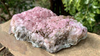Natural Rare Rhodocalcite on Dolomite Specimen x 1 From Mashamba West Mine, Congo