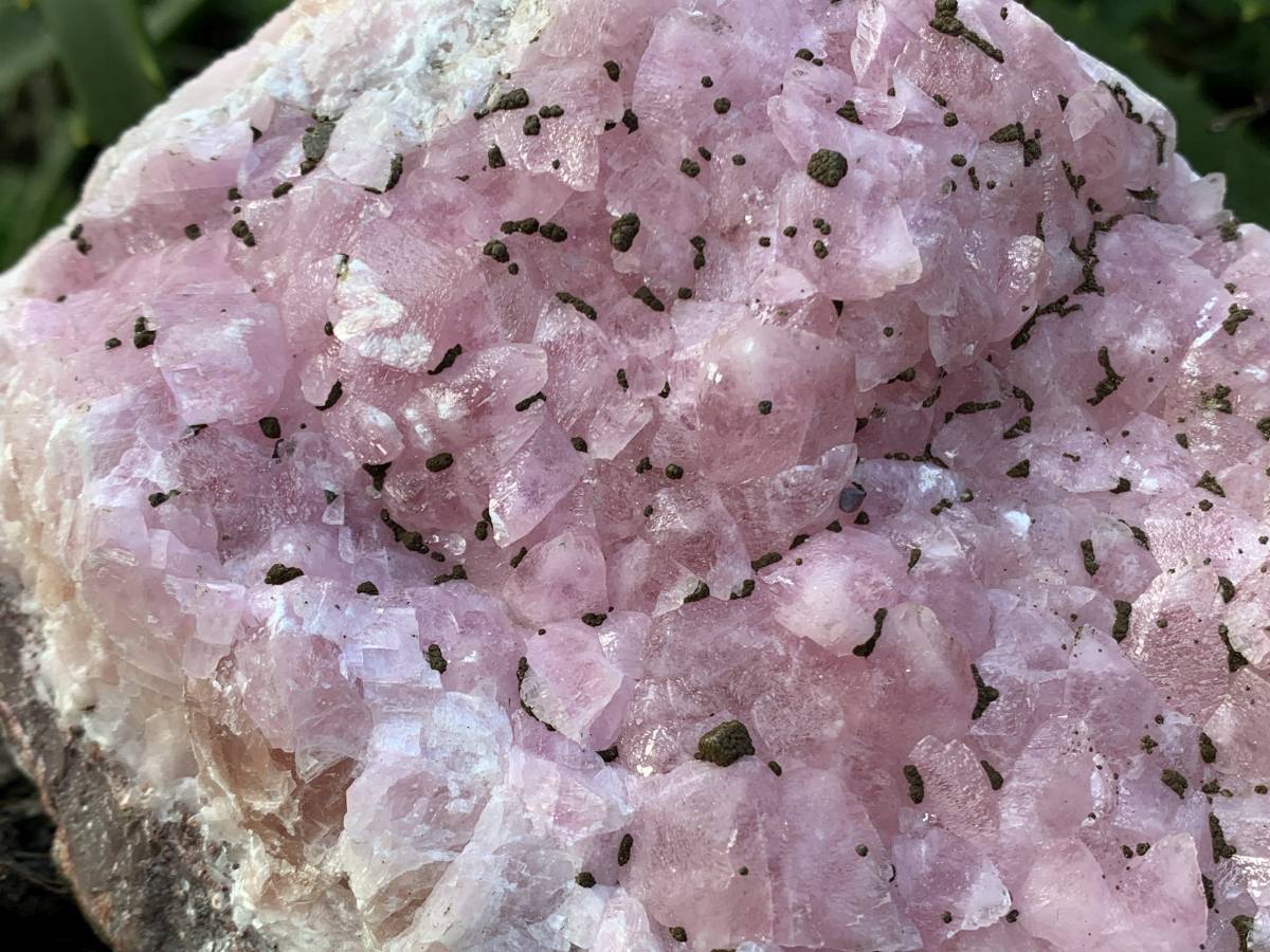 Natural Rare Rhodocalcite on Dolomite Specimen x 1 From Mashamba West Mine, Congo