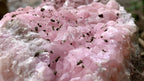Natural Rare Rhodocalcite on Dolomite Specimen x 1 From Mashamba West Mine, Congo