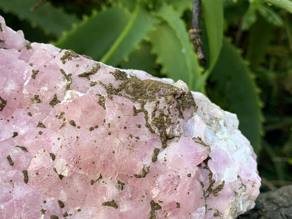 Natural Rare Rhodocalcite on Dolomite Specimen x 1 From Mashamba West Mine, Congo