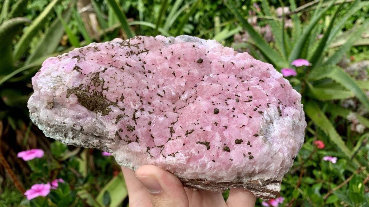 Natural Rare Rhodocalcite on Dolomite Specimen x 1 From Mashamba West Mine, Congo