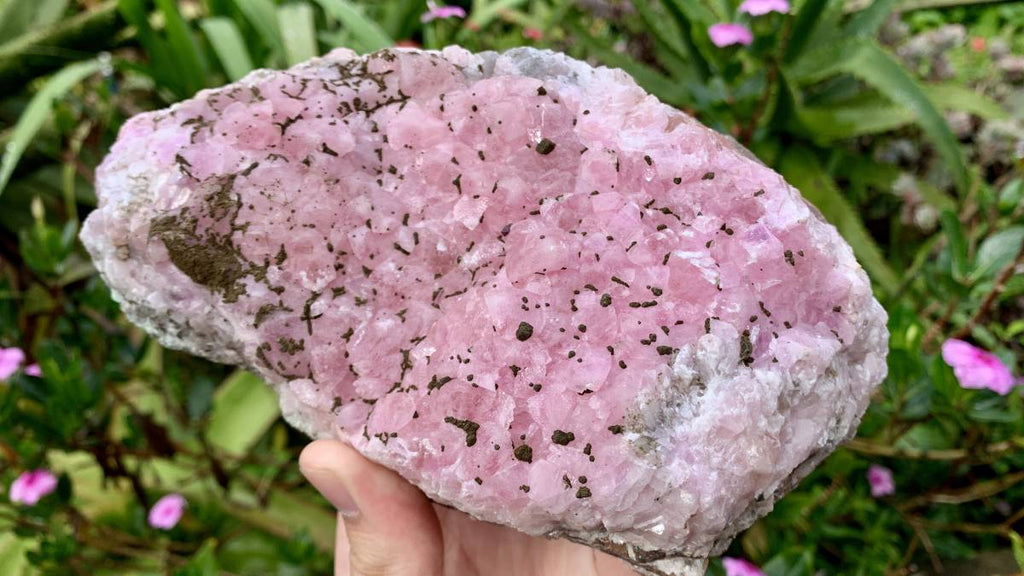 Natural Rare Rhodocalcite on Dolomite Specimen x 1 From Mashamba West Mine, Congo