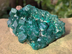 Natural Rare Dioptase Specimen x 1 From Likasi, Congo