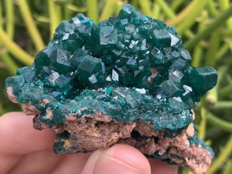 Natural Rare Dioptase Specimen x 1 From Likasi, Congo
