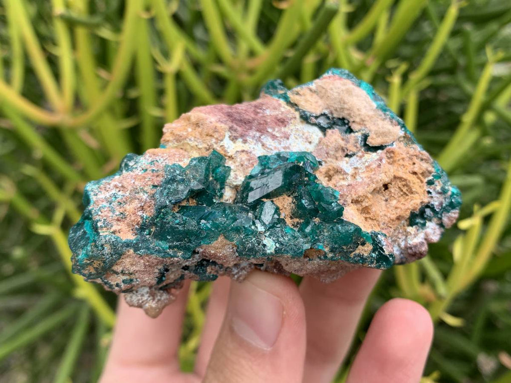 Natural Rare Dioptase Specimen x 1 From Likasi, Congo