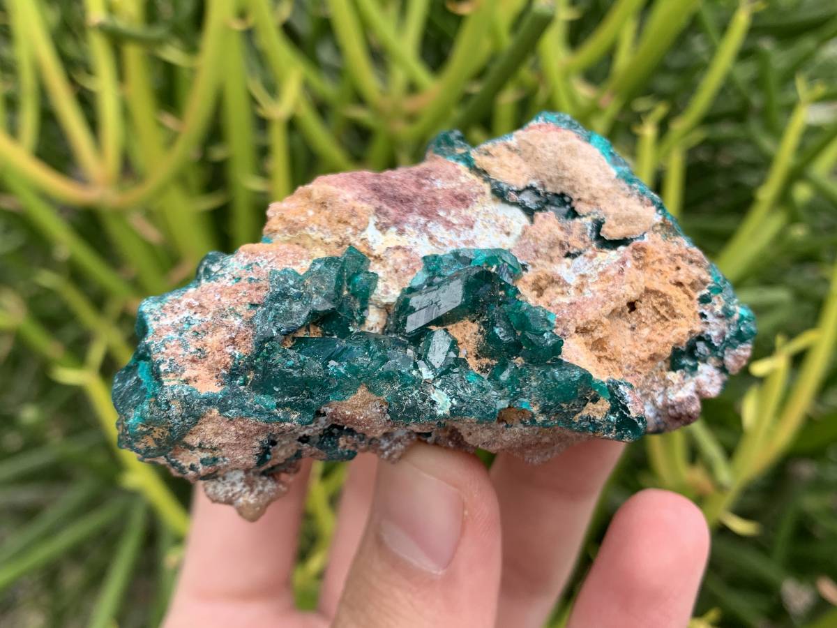 Natural Rare Dioptase Specimen x 1 From Likasi, Congo