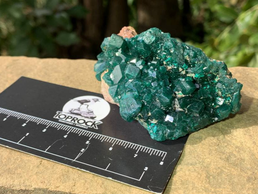 Natural Rare Dioptase Specimen x 1 From Likasi, Congo