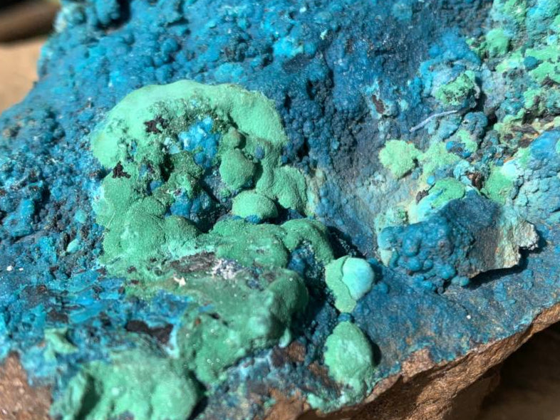 Natural Deep Blue Botryoidal Chrysocolla with Malachite on Copper Dolomite Matrix x 1 From Kulukuluku, Congo