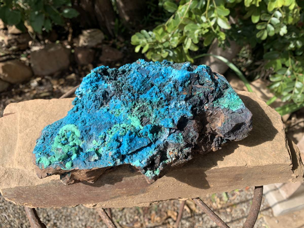 Natural Deep Blue Botryoidal Chrysocolla with Malachite on Copper Dolomite Matrix x 1 From Kulukuluku, Congo