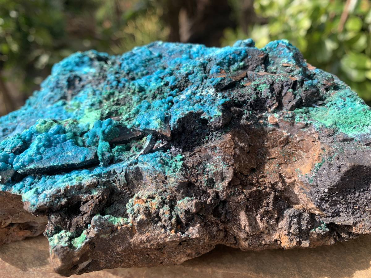 Natural Deep Blue Botryoidal Chrysocolla with Malachite on Copper Dolomite Matrix x 1 From Kulukuluku, Congo