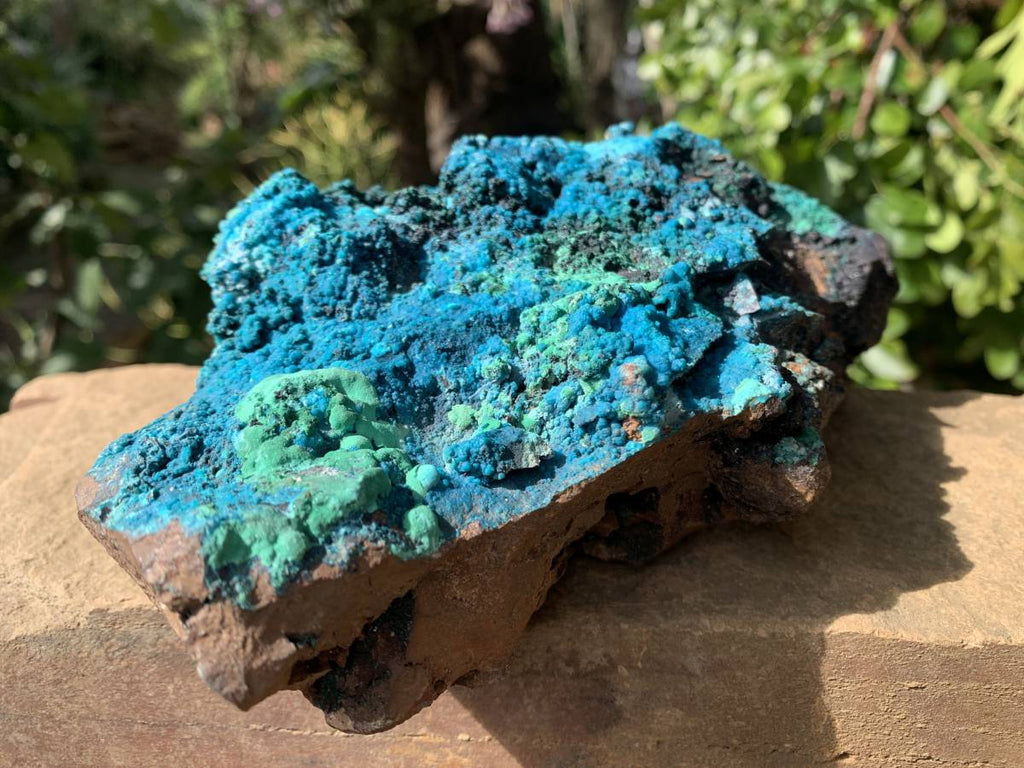 Natural Deep Blue Botryoidal Chrysocolla with Malachite on Copper Dolomite Matrix x 1 From Kulukuluku, Congo