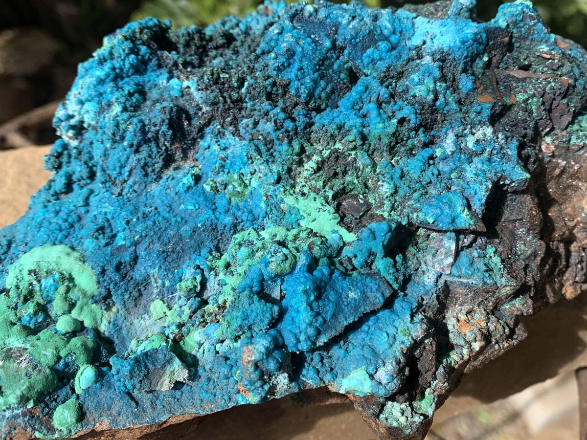 Natural Deep Blue Botryoidal Chrysocolla with Malachite on Copper Dolomite Matrix x 1 From Kulukuluku, Congo
