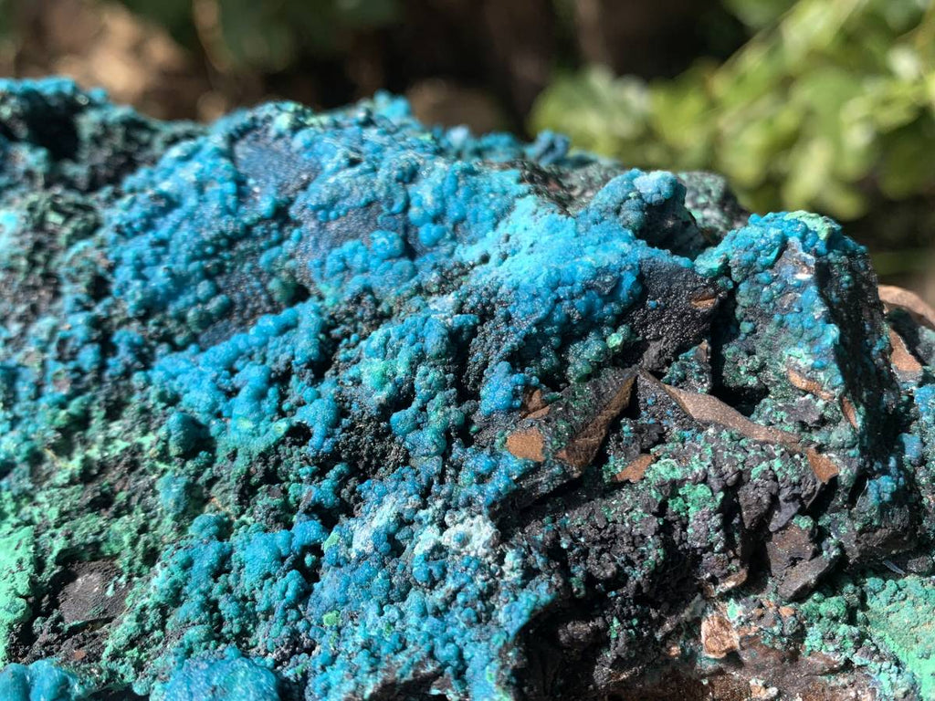 Natural Deep Blue Botryoidal Chrysocolla with Malachite on Copper Dolomite Matrix x 1 From Kulukuluku, Congo