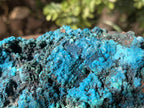 Natural Deep Blue Botryoidal Chrysocolla with Malachite on Copper Dolomite Matrix x 1 From Kulukuluku, Congo