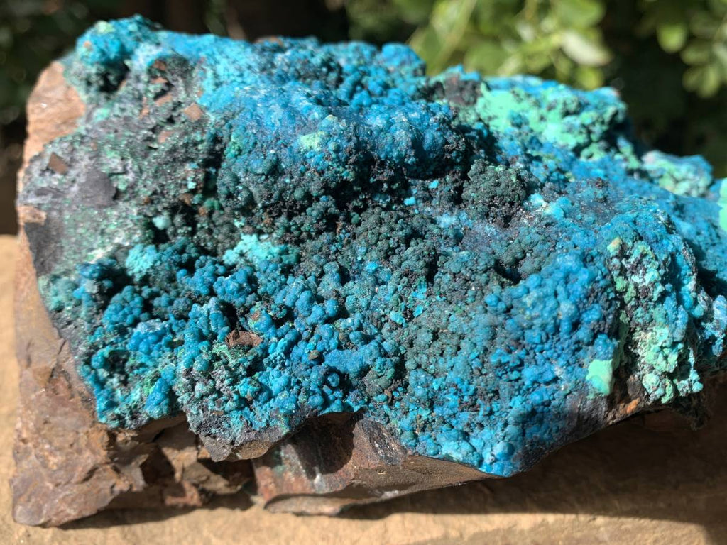 Natural Deep Blue Botryoidal Chrysocolla with Malachite on Copper Dolomite Matrix x 1 From Kulukuluku, Congo
