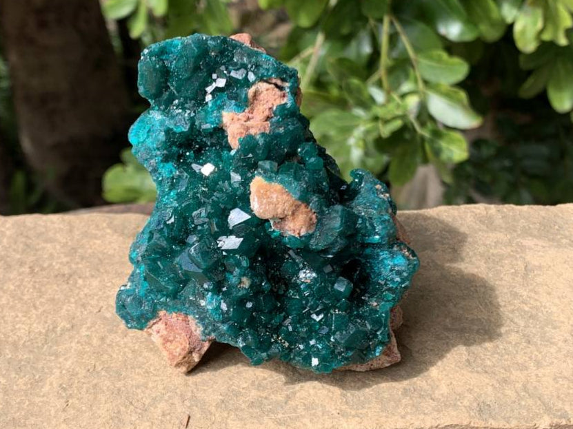 Natural Rare Dioptase Specimen with a Dolomite Matrix x 1 From Likasi, Congo