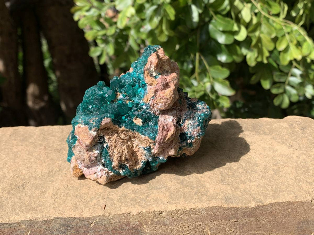 Natural Rare Dioptase Specimen with a Dolomite Matrix x 1 From Likasi, Congo