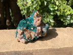 Natural Rare Dioptase Specimen with a Dolomite Matrix x 1 From Likasi, Congo