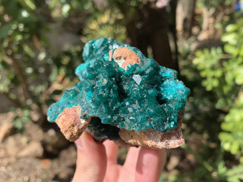 Natural Rare Dioptase Specimen with a Dolomite Matrix x 1 From Likasi, Congo