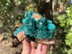 Natural Rare Dioptase Specimen with a Dolomite Matrix x 1 From Likasi, Congo