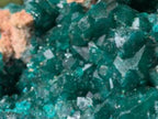 Natural Rare Dioptase Specimen with a Dolomite Matrix x 1 From Likasi, Congo