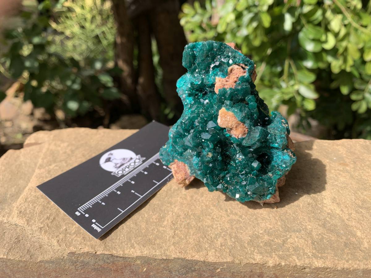 Natural Rare Dioptase Specimen with a Dolomite Matrix x 1 From Likasi, Congo