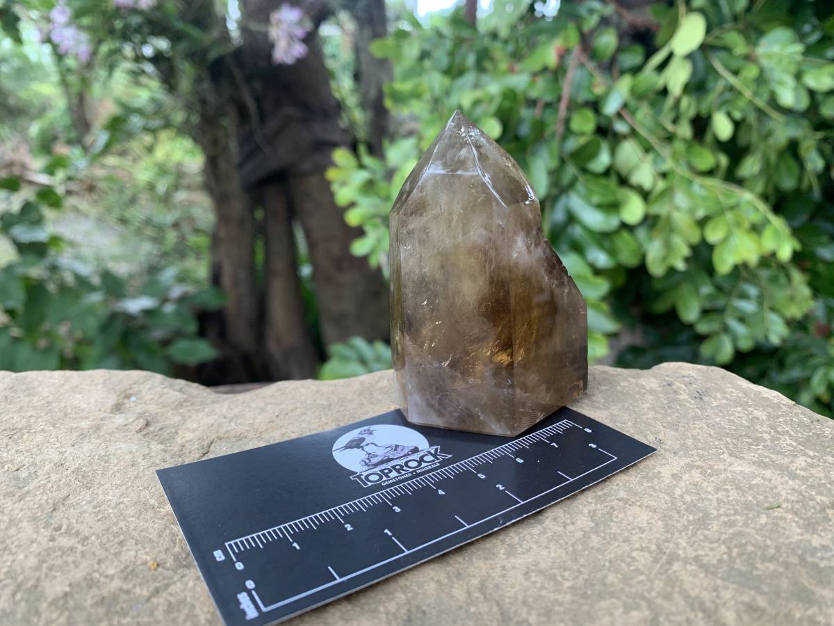 Polished Rare Smokey Citrine Twin Quartz Crystal x 1 From Madagascar