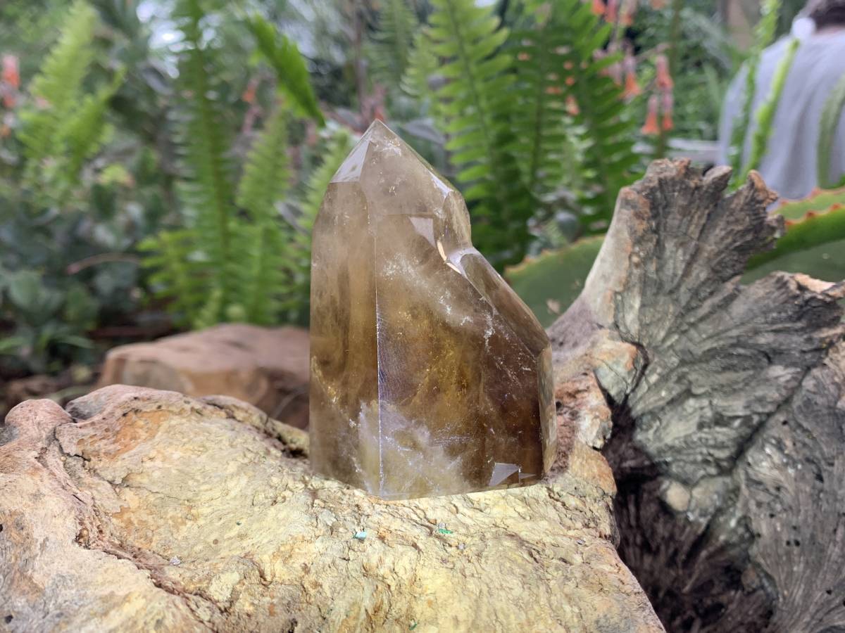 Polished Rare Smokey Citrine Twin Quartz Crystal x 1 From Madagascar